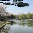 동광로78번길 네이버블로그