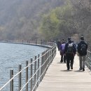 화천산소길 이미지