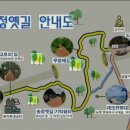 송정메타세콰이어길 이미지