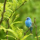 (주)인디고 이미지