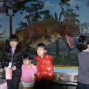 한국민들레도서관 이미지