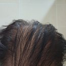 머리나라 이미지