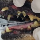 하누동물병원 이미지