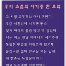 비야비야 Daum카페