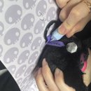 멜로디 | 팝마트 스컬판다 산리오 콜라보 쿠로미x마이멜로디 구매 후기