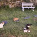 산구름마을펜션민박 이미지