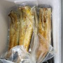 주 세계장어 이미지