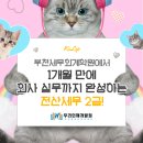 (단기_온라인)전산세무실무(자격증) | 부천세무회계학원에서, 1개월 만에 회사 실무까지 완성하는 전산세무 2급!