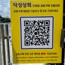 덕성상회