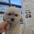 사천체육관 | 경남 사천 사남면 속눈썹펌 후기｜얇은 속눈썹도 쳐짐 없이 바짝! 더하다 속눈썹앤눈썹