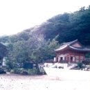 곡성-076 네이버블로그