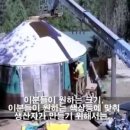 하루하우스 이미지