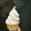 라라뷰티마켓 | 1월 일상 : 백수가 더 바쁘다 홈프로텍터의 삶...