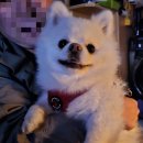 경성한우식육식당