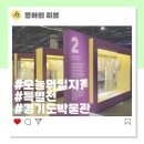 경기도박물관 특별전 17세기 출토 복식 오늘 뭐 입지? 관람 후기