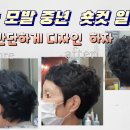 귀보이는 중년숏컷펌 이미지