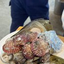 바다드림 | 인천 네스트호텔 근처 조개구이 식당 바다드림 방문후기