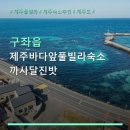 까사달진밧 | 제주바다앞풀빌라숙소 까사달진밧 객실 구성과 예약 방법