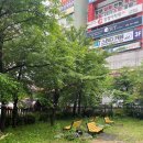 우장군식육식당 이미지