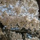 동구 구민화합축제 이미지