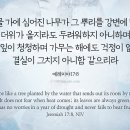 가무는 해에도 걱정이 없고 이미지