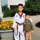 성균관태권스쿨 이미지