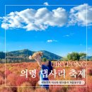 의령-의령-의령-D-7 | 경남 의령 댑싸리축제 대형부지 이스타 핑크뮬리 반려견과 꽃구경