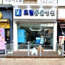 더드림동물병원 이미지