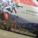 풍전농장 이미지