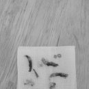 문정탑동물병원