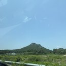 [용인] 용인자작나무숲 다녀온 후기 (까사포레&amp;베툴라) – 서울 근교/경기도 힐링 데이트 명소 추천