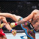 아트 주짓수 레슬링 이미지