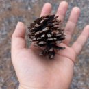 대숲속으로 | 담양 한옥펜션 대숲속으로 2박3일 다녀온 후기(ft. 온돌숙소)