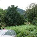 수정-133 이미지