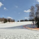 정곤네 | 삿포로 비에이 투어 이제는 프라이빗 소그룹 투어가 대세