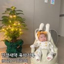 (주)채움늘 | 흰 소띠 아기 육아 및 성장 기록