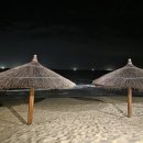 일등 행정사 사무소 이미지