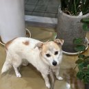 서남교회앞 이미지