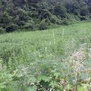 현서면사무소 이미지