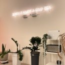 파스타입니다 하양점 이미지