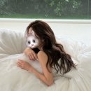 [공지] W 05. 웨딩촬영 내돈내산 헤어변형 단미쁘다 후기
