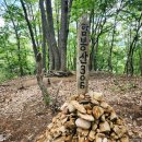 한숲하늘근린공원 이미지