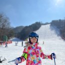 비발디스키아카데미