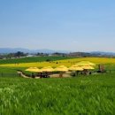 이삭골 농장 이미지