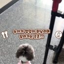 몽몽까까 이미지