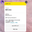 화양견화 | [ 전남/ 담양군 ] 담양 애견미용 반려동물미용 화양견화