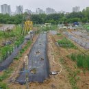 주대농장 이미지