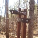 새마을금고 이미지