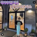 카페데일리