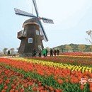 국제민박펜션 Daum카페